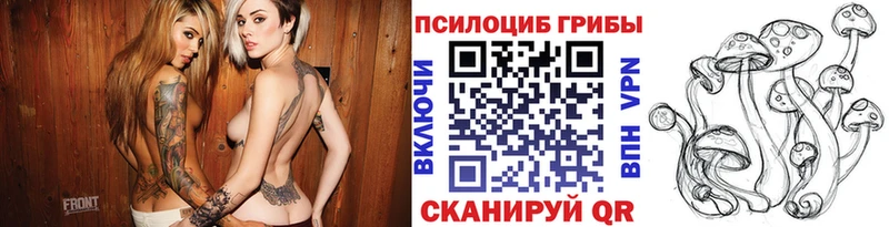 Псилоцибиновые грибы мицелий  Кимовск 